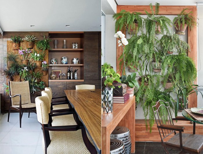 Sala com plantas: conheça 7 espécies e saiba como decorar